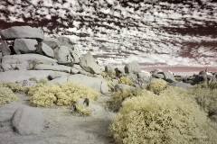 INFRARED_ANZA_BORREGO_NOV_02_2019_695-260_FINAL_08S