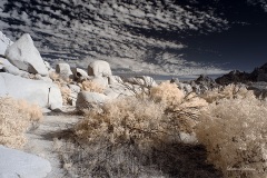 INFRARED_ANZA_BORREGO_NOV_02_2019_695-262_FINAL_06