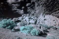 INFRARED_ANZA_BORREGO_NOV_02_2019_695-264_FINAL_03S