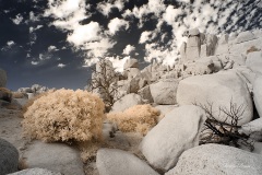 INFRARED_ANZA_BORREGO_NOV_02_2019_695-267_FINAL_06