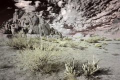 INFRARED_ANZA_BORREGO_NOV_02_2019_695-275_FINAL_08S