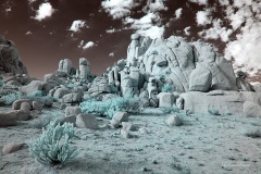 INFRARED_ANZA_BORREGO_NOV_02_2019_695-278_FINAL_03S