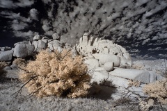 INFRARED_ANZA_BORREGO_NOV_02_2019_695-281_FINAL_06