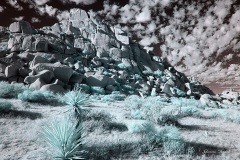 INFRARED_ANZA_BORREGO_NOV_02_2019_695-283_FINAL_03S