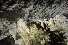 INFRARED_ANZA_BORREGO_NOV_02_2019_695-291_FINAL_08S