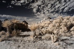 INFRARED_ANZA_BORREGO_NOV_02_2019_695-293_FINAL_06