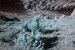 INFRARED_ANZA_BORREGO_NOV_02_2019_695-295_FINAL_03S
