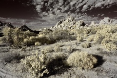 INFRARED_ANZA_BORREGO_NOV_02_2019_695-296_FINAL_08S