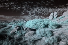 INFRARED_ANZA_BORREGO_NOV_02_2019_695-306_FINAL_03S