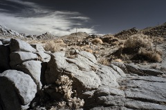 INFRARED_ANZA_BORREGO_NOV_10_2019_695-39_FINAL_06
