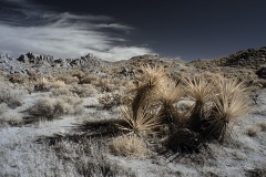 INFRARED_ANZA_BORREGO_NOV_10_2019_695-46_FINAL_06