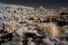 INFRARED_ANZA_BORREGO_NOV_10_2019_695-62_FINAL_06