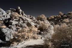 INFRARED_ANZA_BORREGO_NOV_10_2019_695-82_FINAL_06