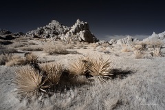 INFRARED_ANZA_BORREGO_NOV_10_2019_695-99_FINAL_06