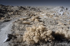 INFRARED_ANZA_BORREGO_NOV_17_695-97_FINAL_06