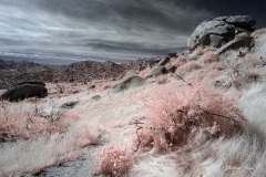 INFRARED_ANZA_BORREGO_OCT_27_2019_695-11_FINAL_10