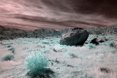 INFRARED_ANZA_BORREGO_OCT_27_2019_695-20_FINAL_03S