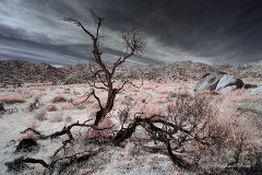 INFRARED_ANZA_BORREGO_OCT_27_2019_695-22_FINAL_10