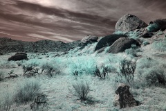 INFRARED_ANZA_BORREGO_OCT_27_2019_695-37_FINAL_03S