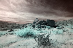 INFRARED_ANZA_BORREGO_OCT_27_2019_695-4_FINAL_03S