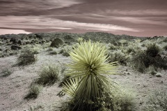 INFRARED_ANZA_BORREGO_OCT_27_2019_695-53_FINAL_08S