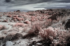 INFRARED_ANZA_BORREGO_OCT_27_2019_695-57_FINAL_10