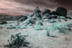 INFRARED_ANZA_BORREGO_OCT_27_2019_695-9_FINAL_03S