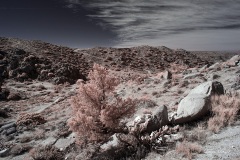 INFRARED_ANZA_BORREGO_695_DEC_01_2019-101_FINAL_10