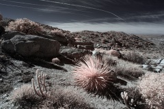 INFRARED_ANZA_BORREGO_695_DEC_01_2019-138_FINAL_10