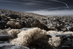 INFRARED_ANZA_BORREGO_695_DEC_01_2019-146_FINAL_06