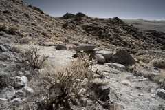 INFRARED_ANZA_BORREGO_695_DEC_01_2019-171_FINAL_06