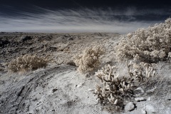INFRARED_ANZA_BORREGO_695_DEC_01_2019-172_FINAL_06