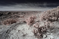 INFRARED_ANZA_BORREGO_695_DEC_01_2019-172_FINAL_10
