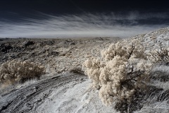 INFRARED_ANZA_BORREGO_695_DEC_01_2019-173_FINAL_06