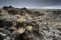 INFRARED_ANZA_BORREGO_695_DEC_01_2019-175_FINAL_06