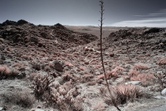 INFRARED_ANZA_BORREGO_695_DEC_01_2019-177_FINAL_10