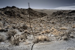 INFRARED_ANZA_BORREGO_695_DEC_01_2019-178_FINAL_06
