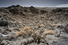 INFRARED_ANZA_BORREGO_695_DEC_01_2019-179_FINAL_06
