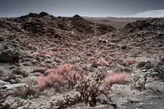 INFRARED_ANZA_BORREGO_695_DEC_01_2019-179_FINAL_10