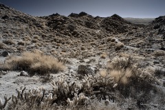 INFRARED_ANZA_BORREGO_695_DEC_01_2019-182_FINAL_06
