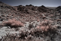 INFRARED_ANZA_BORREGO_695_DEC_01_2019-182_FINAL_10