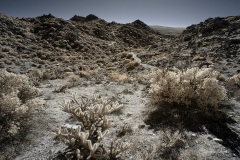 INFRARED_ANZA_BORREGO_695_DEC_01_2019-183_FINAL_06