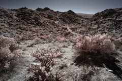 INFRARED_ANZA_BORREGO_695_DEC_01_2019-183_FINAL_10