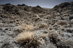 INFRARED_ANZA_BORREGO_695_DEC_01_2019-188_FINAL_06