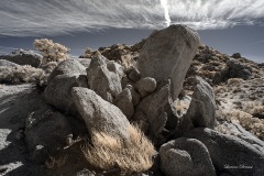 INFRARED_ANZA_BORREGO_695_DEC_01_2019-54_FINAL_06