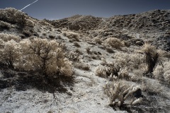 INFRARED_ANZA_BORREGO_695_DEC_01_2019-79_FINAL_06