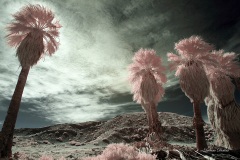 INFRARED_ANZA_BORREGO_695_MAR_03_2019-27_FINAL_10