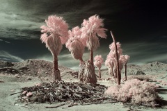 INFRARED_ANZA_BORREGO_695_MAR_03_2019-32_FINAL_10