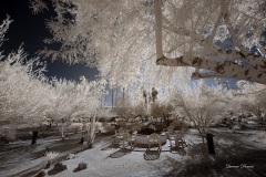 INFRARED_ANZA_BORREGO_DEC_15_2019_720-3_FINAL_06