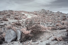 INFRARED_ANZA_BORREGO_DEC_21_2019_695-37_FINAL_10